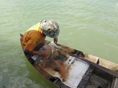 Mùa cá ra sông ở miền Tây rơi vào thời điểm nào trong năm mà dân tất bật đón bắt?