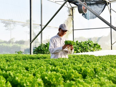 Hợp tác xã và nông dân Tuyên Quang vươn lên mạnh mẽ nhờ đổi mới tư duy sản xuất