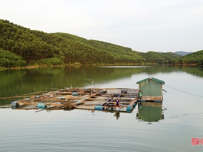 Chuyển mình trong phát triển thủy sản nước ngọt công nghệ cao