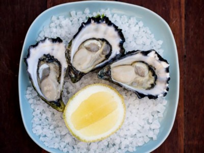 Australia: Tôm hùm, sò điệp được bán với giá thấp kỷ lục