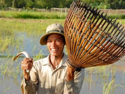 Cá nước ngọt suy giảm nghiêm trọng