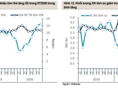 Toàn cảnh triển vọng xuất khẩu tôm Q4-2020