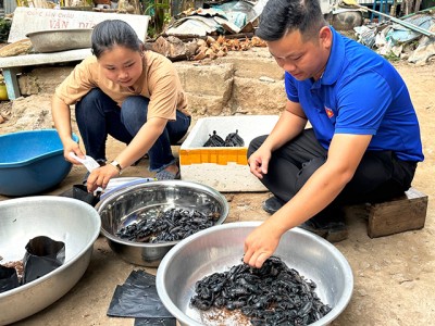 Cô nông dân 9X Đồng Tháp táo bạo nuôi con gì đến đàn ông thấy còn sợ, cứ bán 1kg có giá 500-600.000 đồng?