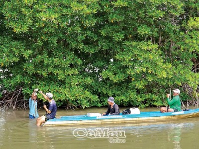 Một con vật trông y chang con lươn, dân Cà Mau lội nước câu, kéo lôi lên bán 100.000 đồng/kg?