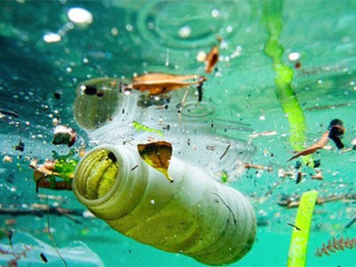 Xem xét ban hành nghị định mới về xử phạt trong bảo vệ môi trường