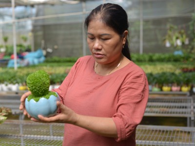 Một nông dân Lâm Đồng phát tài nhờ 