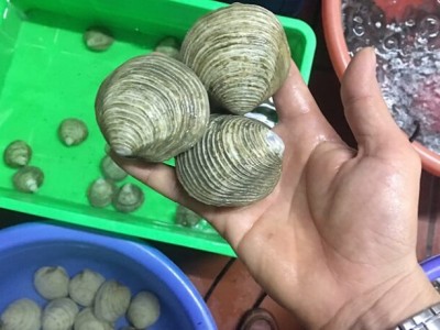 Con đặc sản nghe tên đã thấy phát ngán nhưng quý và hiếm, đem ngâm rượu thì ông uống bà mê