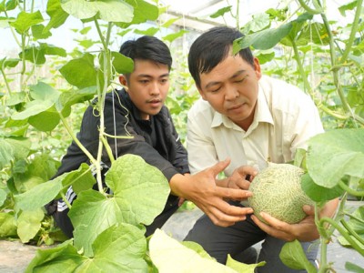 Nhiều mô hình khởi nghiệp của nông dân Đồng Tháp có thu nhập tiền tỷ