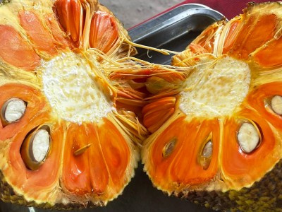 Giá mít Thái hôm nay 22/5: Giống mít ruột đỏ xơ vàng có ưu điểm nổi trội hơn giống mít Thái mà bán đắt?