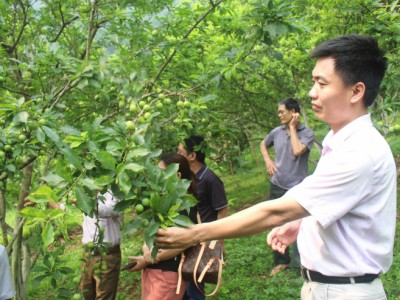 Góp ý đổi mới nghiên cứu khoa học công nghệ nông nghiệp: 5 vấn đề lớn