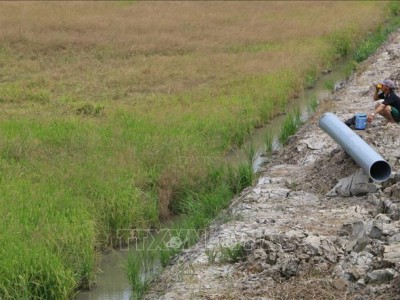 Nước mặn xâm nhập sớm ở Hậu Giang – Bài 1: Diễn biến phức tạp