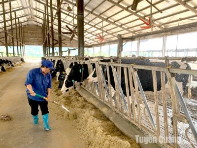 Cơ Hội Mới Cho Người Làm Kinh Tế Tại Địa Phương