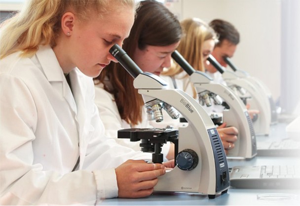 Công ty TNHH Thiết Bị Song Long 