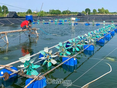 Máy cho tôm ăn tự động do chàng trai 9X Cà Mau sáng chế, chế tạo bán sang cả Trung Quốc, Tây Ban Nha