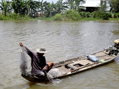 Trồng mít xen măng cụt, kết hợp nuôi ốc, lão nông 80 tuổi khỏe ra, còn thu hàng trăm triệu đồng/năm