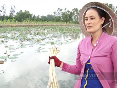 Trồng loại cây hám bùn, ít vốn, mau được ăn, chị nông dân Tiền Giang ngày nào cũng 