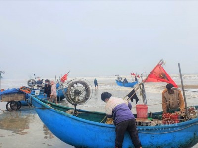 Ra biển Nghệ An bắt đầy cá bơn, cá đù, tôm tít tươi roi rói, chưa vào bờ thương lái đã tranh nhau mua