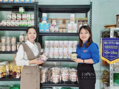 Bỏ nghề giáo viên về 