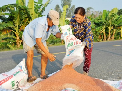 Giá phân bón tăng phi mã, nông dân sao chịu nổi?