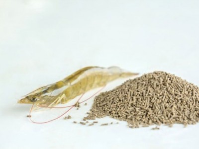 Quản lý thức ăn tôm