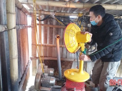 Vất vả chống rét cho tôm cá