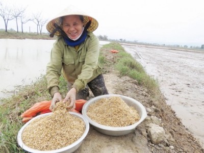 Miền Bắc lại sắp rét đậm, rét hại