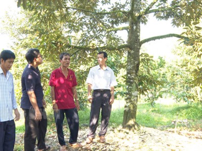 Trồng thứ cây đặc sản ví như 