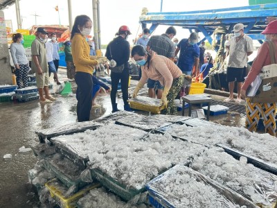 Cà Mau siết chặt quản lý khai thác, bảo vệ nguồn lợi thủy sản