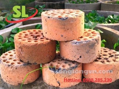 Hướng dẫn xử lý than tổ ong dùng trong hồ cá cảnh: Tiết kiệm chi phí