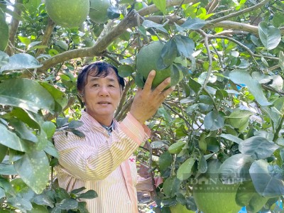 Trồng cam quýt lời hơn 20 tỷ/năm, tỷ phú Bình Dương là Nông dân Việt Nam xuất sắc 2023