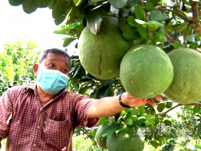 Hội Nông dân Tiền Giang đồng hành cùng nông dân 