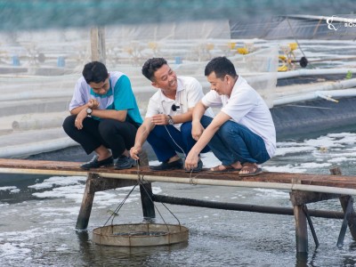 Gặp Tiến sĩ nuôi tôm độc đáo nhất nhì ở đồng bằng