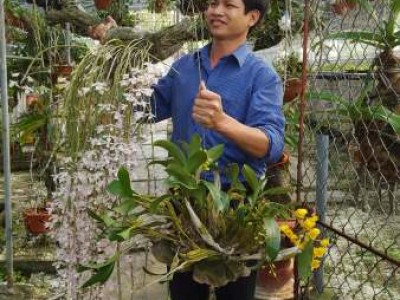 Ở giữa đồng bằng Bắc bộ, trai làng trồng lan rừng thành vườn đẹp 